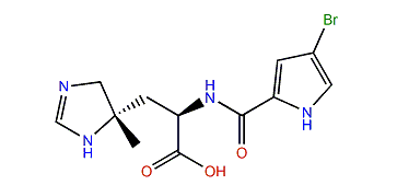 Clathramide D